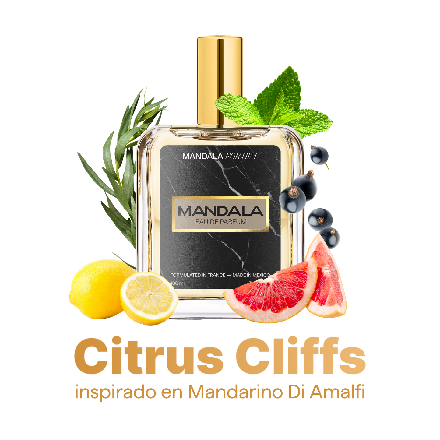 Hot Summer - Pack exclusivo de 4 perfumes de verano for Him