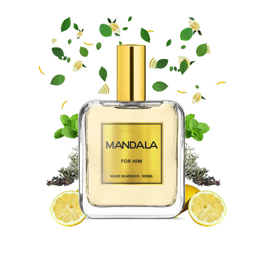 Active Freshness - Inspirado en POLO SPORT de RALPH LAUREN 100ml-