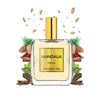 Alquimia Nocturna Inspirado en Leather Oud de Christian Dior 100ml-