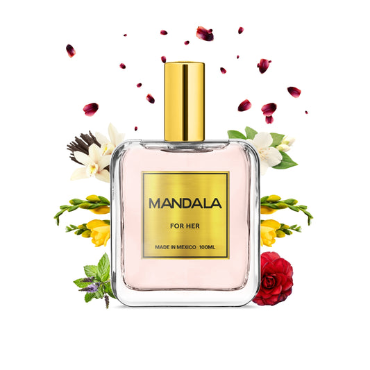 Blossom Burst - Inspirado en FLOWERBOMB de VIKTOR & ROLF “Taylor Swift” 100ml