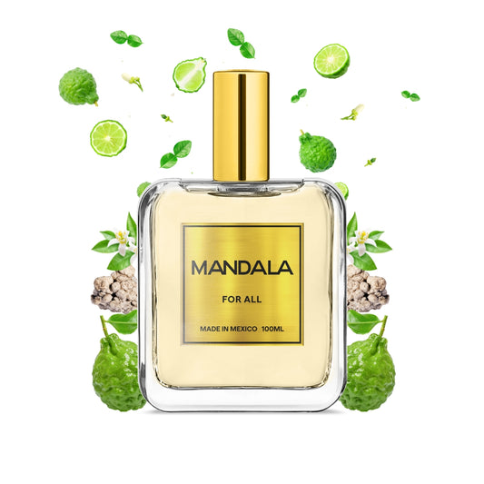 Boundless Dream - Inspirado en IMAGINATION de LOUIS VUITTON 100ml-