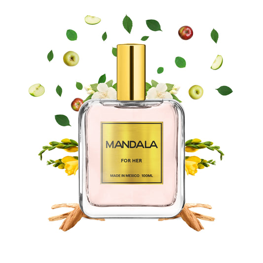 Celebutante Charm - Inspirado en PARIS HILTON de PARIS HILTON 100ml-