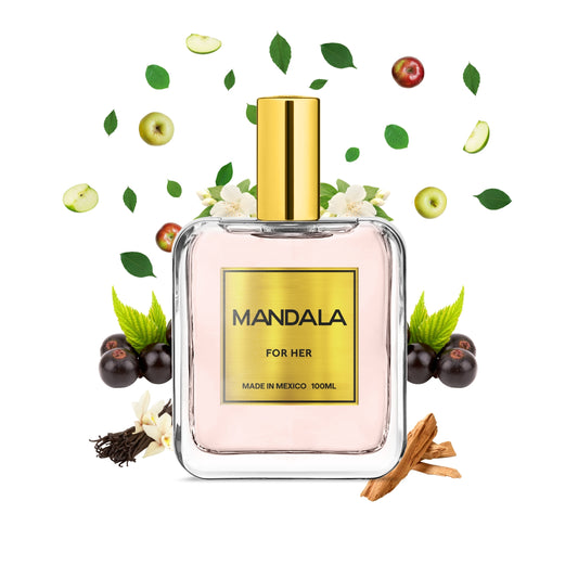 Chic Blossom - Inspirado en MADEMOISELLE ROCHAS de ROCHAS 100ml