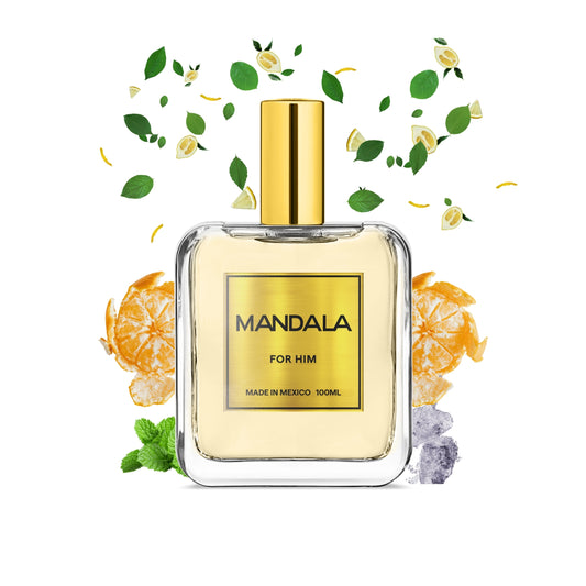 Citrus Cliffs - Inspirado en MANDARINO DI AMALFI de TOM FORD 100ml-
