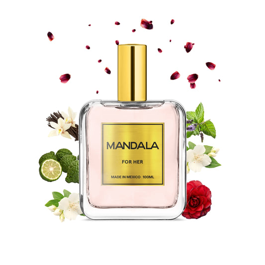 Coco Elegance - Inspirado en COCO MADEMOISELLE de CHANEL 100ml-