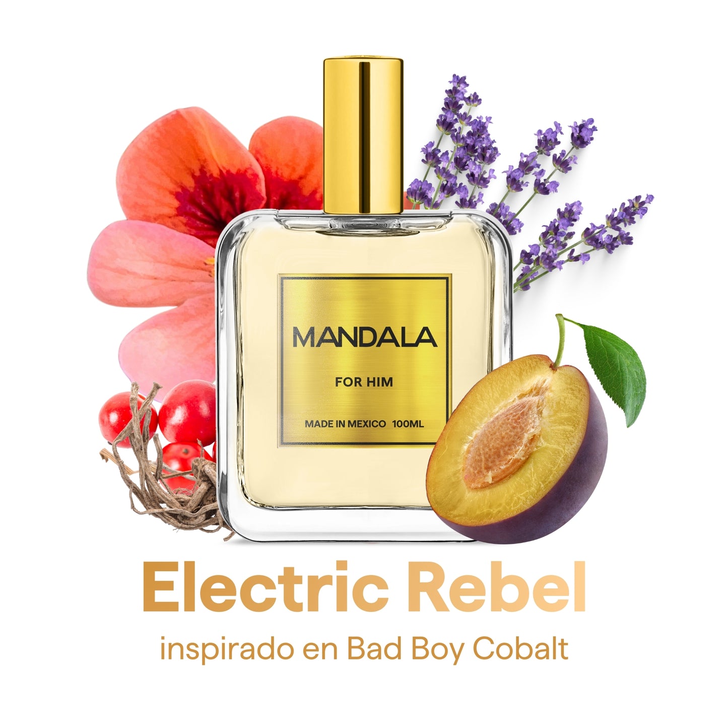 Couple Energy - pack 4 perfumes para parejas