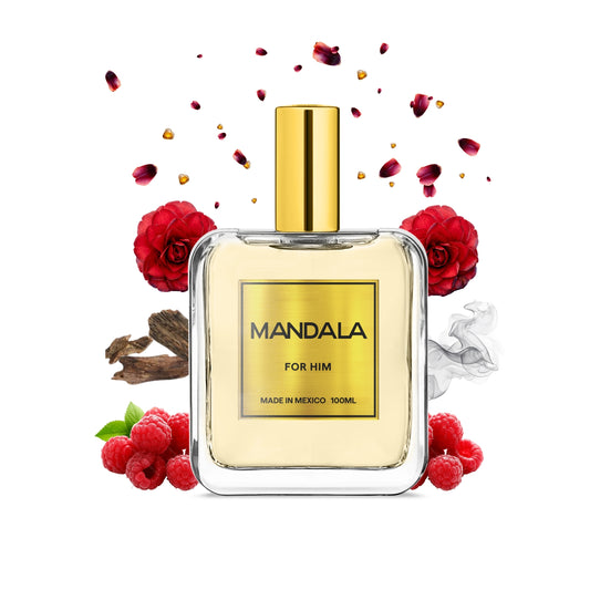 Desert Mirage Bloom - Inspirado en OMBRE NOMADE de LOUIS VUITTON 100ml-