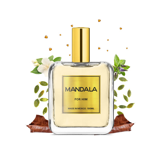 Desert Trade - Inspirado en OMBRÉ LEATHER de TOM FORD 100ml-