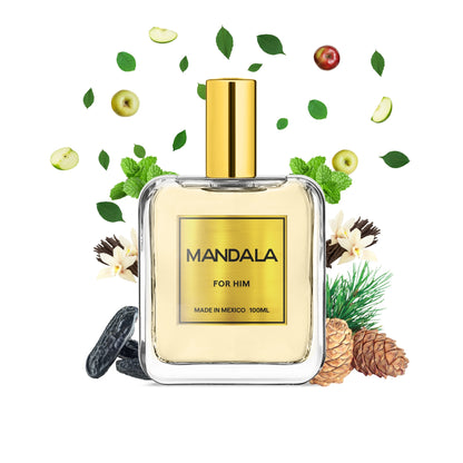 Divine Attraction - Inspirado en EROS de VERSACE 100ml