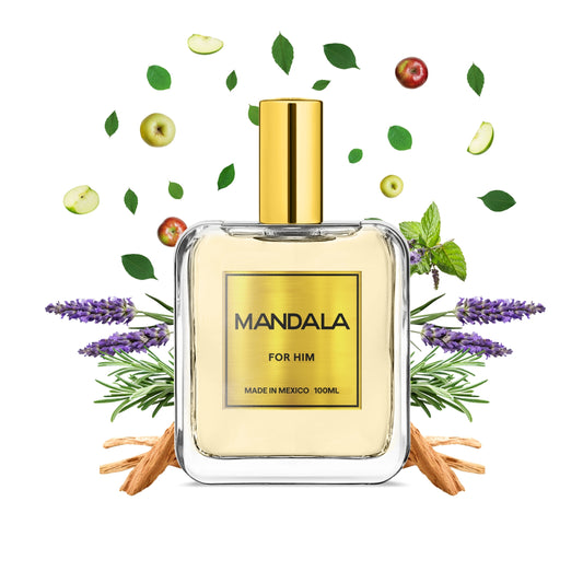 Endless Elegance - Inspirado en BOSS BOTTLED INFINITE de HUGO BOSS 100ml-