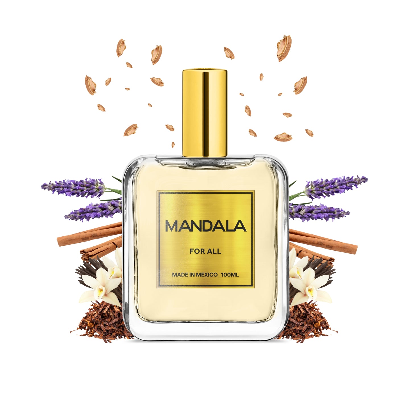 Esplendor Naxiano Inspirado en NAXOS 1861 NJ de XERJOFF 100ml-