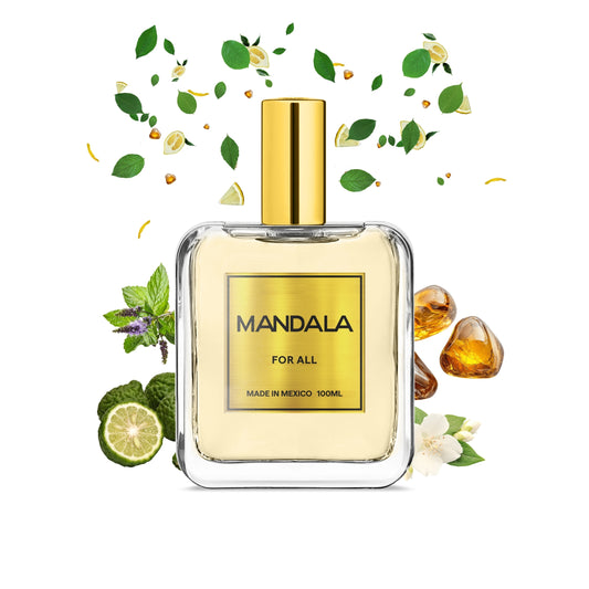 Explorer's Essence - Inspirado en L’AVENTURE de AL HARAMAIN PERFUMES 100ml