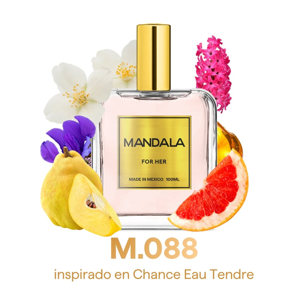 Fresh & Fun Love - pack 4 perfumes para parejas