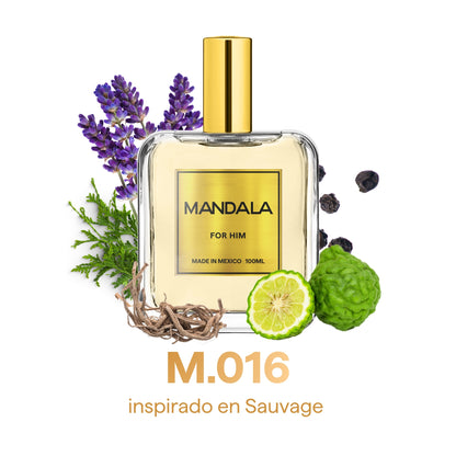 Men's Signature - Pack de nuestros 4 best sellers for Him