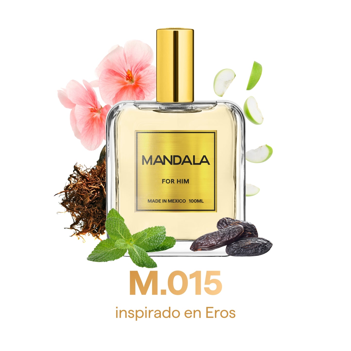 Men's Signature - Pack de nuestros 4 best sellers for Him