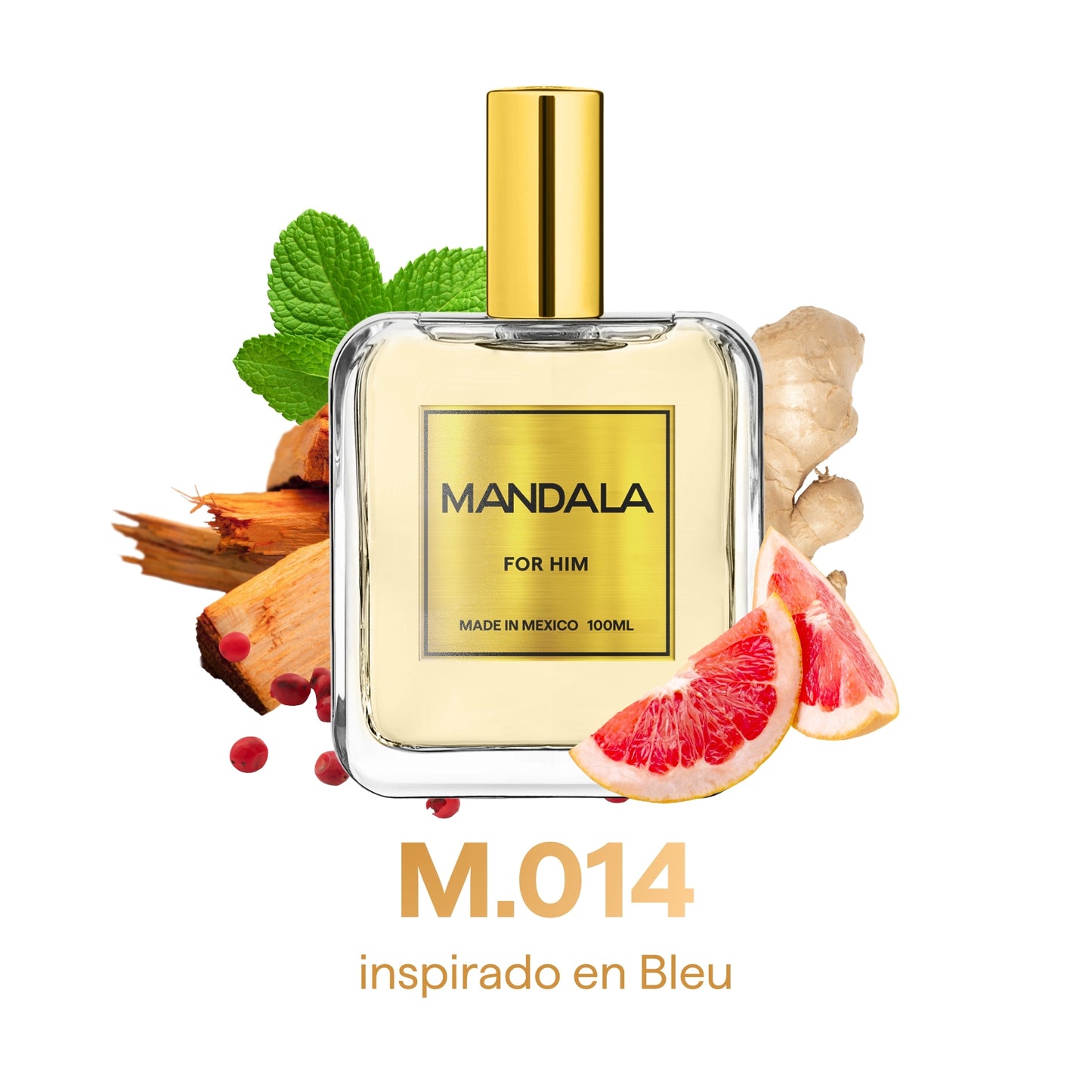 Men's Signature - Pack de nuestros 4 best sellers for Him