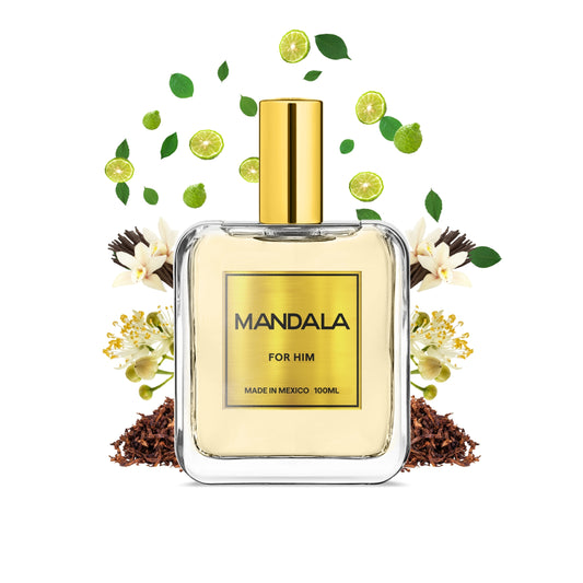 Midnight Code - Inspirado en ARMANI CODE de GIORGIO ARMANI 100ml-