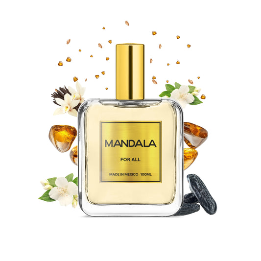 Midnight Elegance - Inspirado en GRAND SOIR de MFK 100ml-