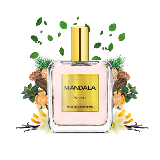 Nocturnal Elixir - Inspirado en BLACK OPIUM de YSL 100ml