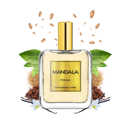 Nocturne Rhapsody - Inspirado en JAZZ CLUB de MAISON MARTIN MARGIELA 100ml-