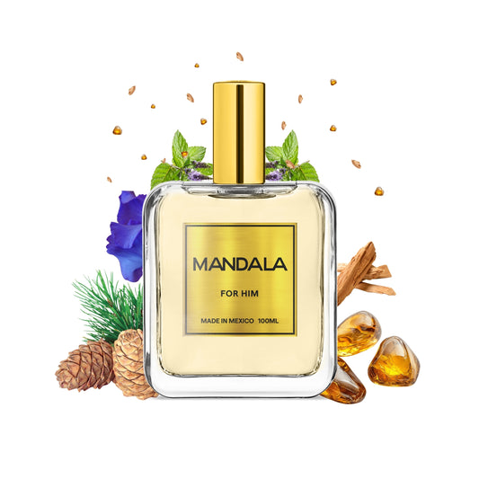 Noir Elegance - Inspirado en DIOR HOMME INTENSE de DIOR 100ml-