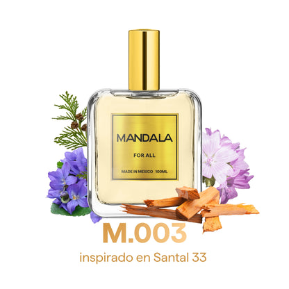 She is that Girl - Pack de nuestros 4 best sellers for Her