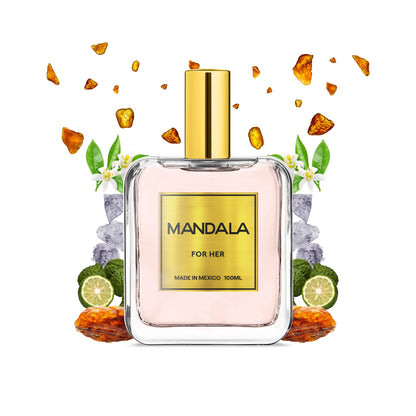 Timeless Paradox Inspirado en Paradoxe de Prada 100ml