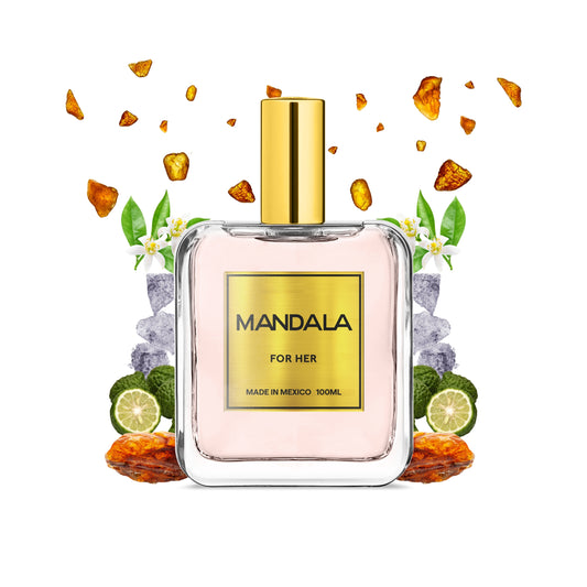 Timeless Paradox Inspirado en Paradoxe de Prada 100ml