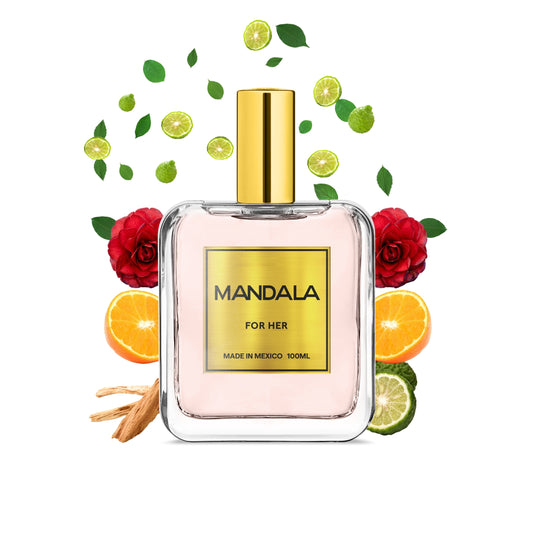 Vibrant Spirit - Inspirado en TWILLY de HERMES 100ml-